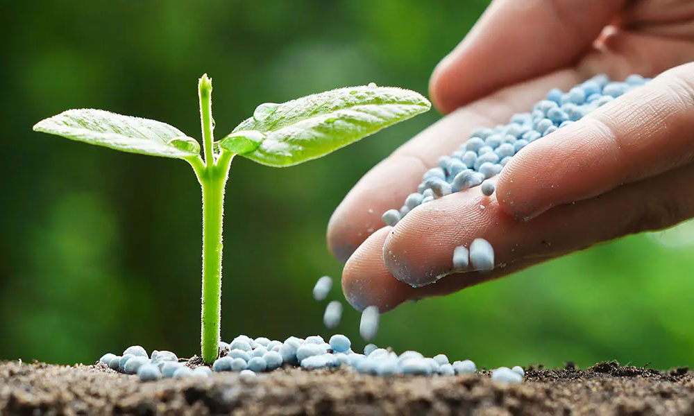 Fertilizanții ar putea înghiți 35% din bugetul fermelor