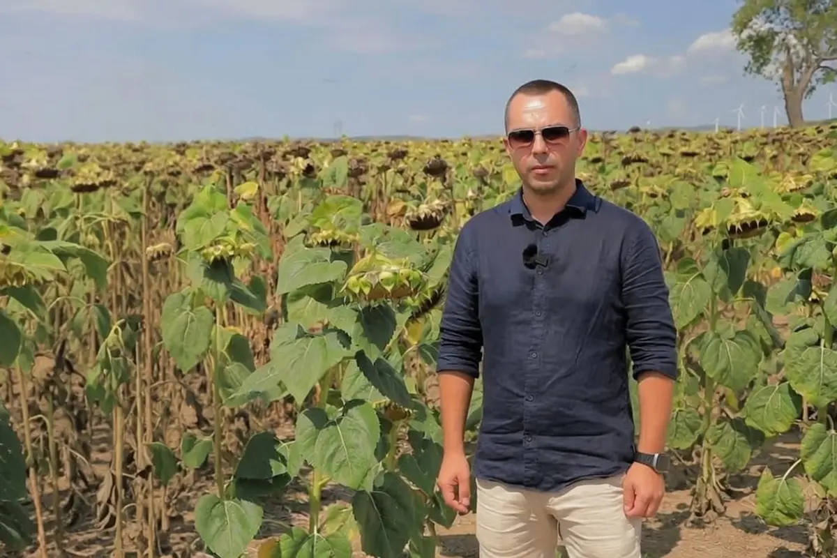 Gabriel Pavel, administratorul Agropav SRL, într-un lan de floarea-soarelui